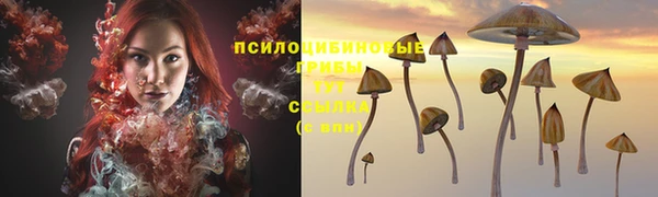 jwh Беломорск