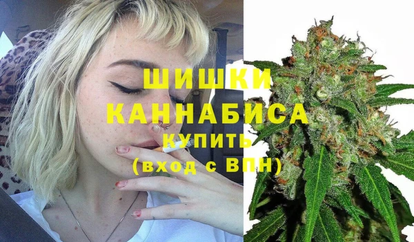 метадон Белокуриха