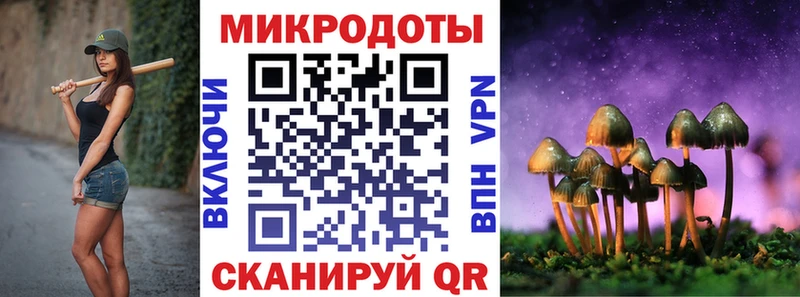 Купить закладки  Петровск-Забайкальский  Галлюциногенные грибы MAGIC MUSHROOMS 